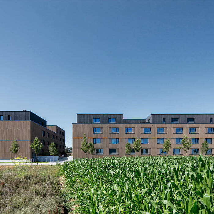 01_19_700pixelBJNEBC3uHJmXe