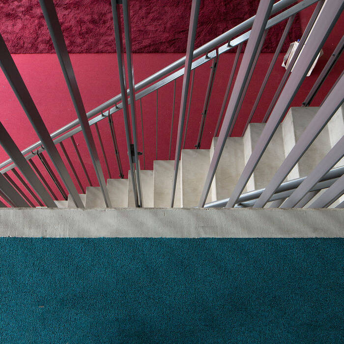 02-08-19_Q5B0422_15_700pixel