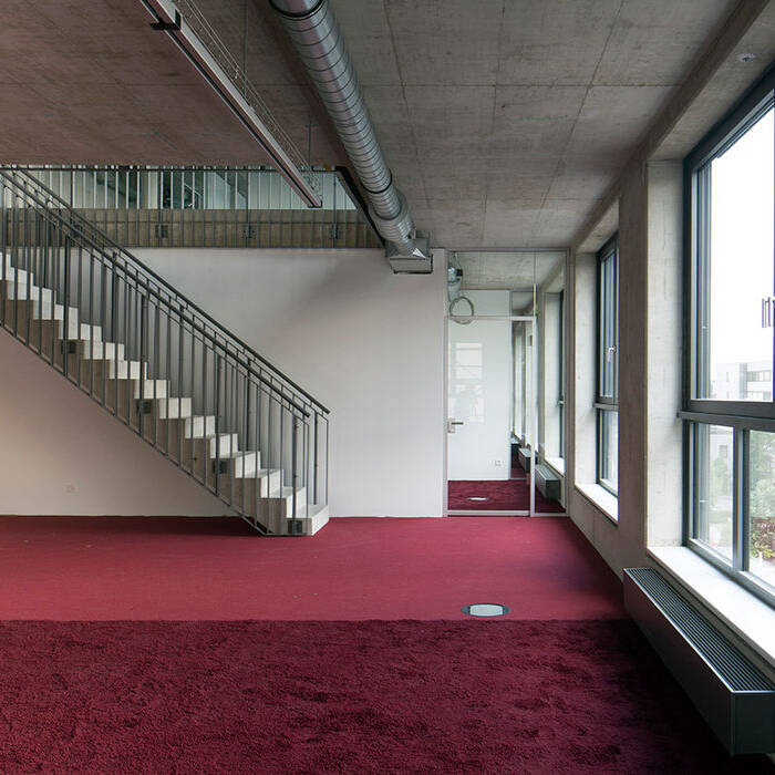 02-08-19_Q5B0477_10_700pixel