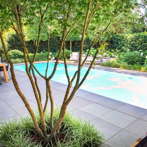 035-acer-palmatum-carex-ice-dance-garten-pool-poolhaus-naturstein-spa-infinitypool-gartendesign-hochbeet-gartengestaltung-gartenbau_10_700pixel