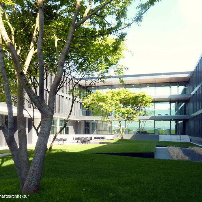 038_nnjpg_15_700pixel