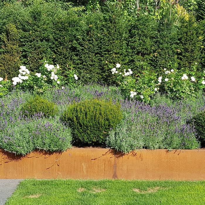 03_15_700pixelhrSLzGePnxeYs