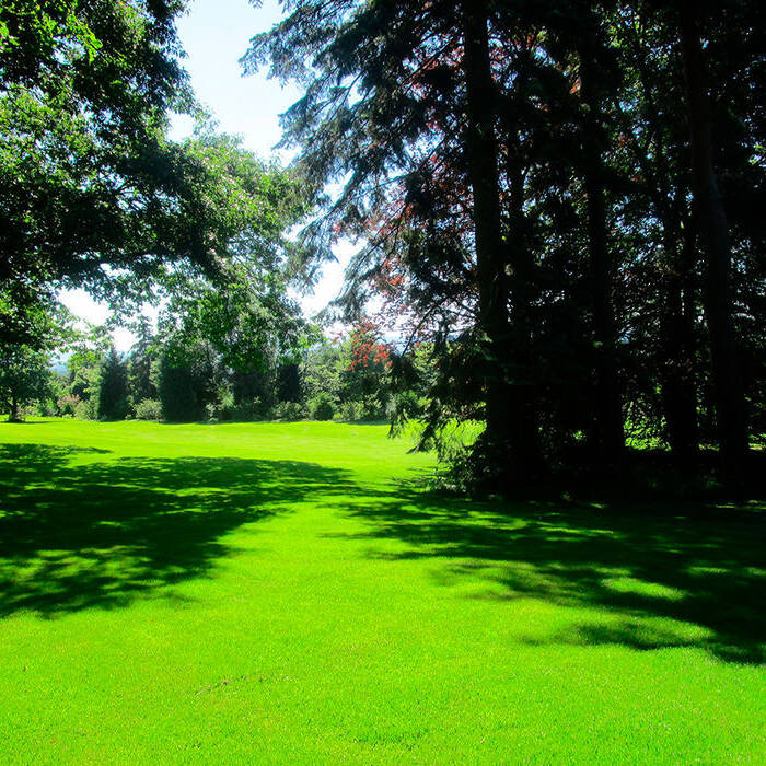 04_10_700pixelarlQIIH9qzzOK