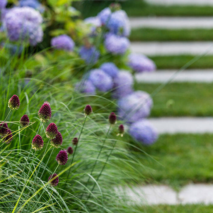 06-19_015_1759_10_700pixel