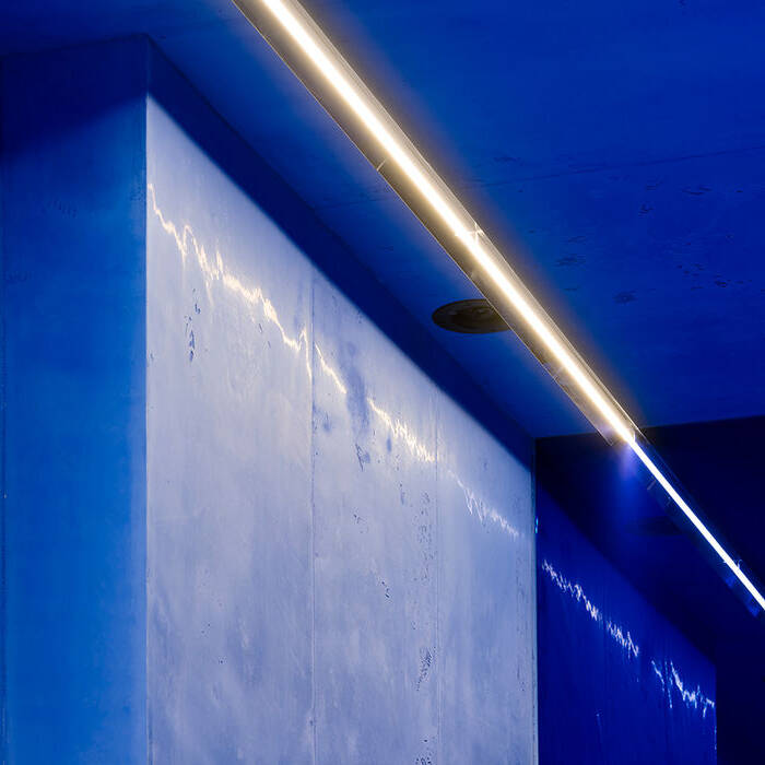 08-210829tm36_10_700pixel