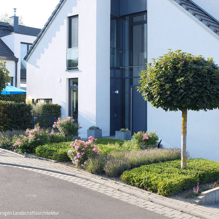 08-besgen-Beetpakete-Vorgarten-Bornheim_15_700pixel