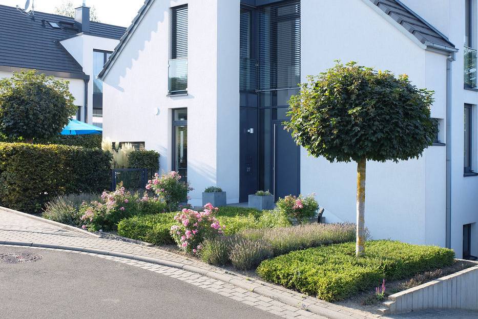 08-besgen-Beetpakete-Vorgarten-Bornheim_15_700pixel