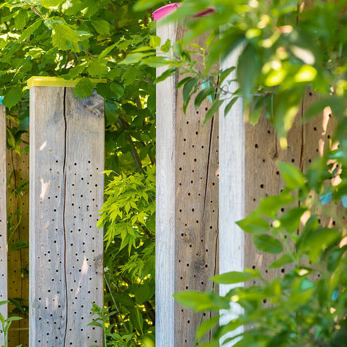 13-Gartenwerk_AtN-Naturgarten-hinten-8_10_700pixel