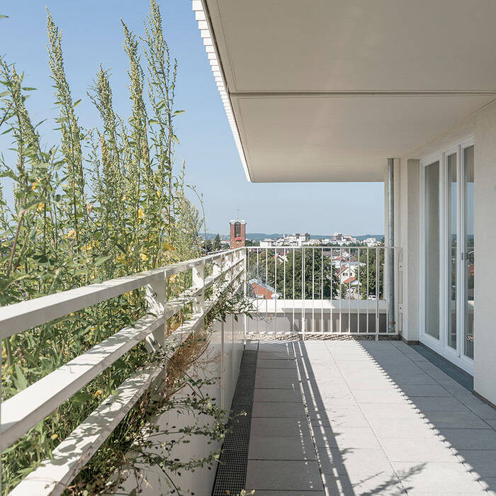 149_Foto_17_www_10_700pixel