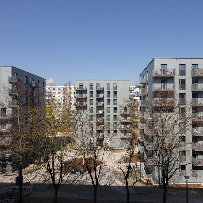 1608-WF_Dol_052_19_700pixel