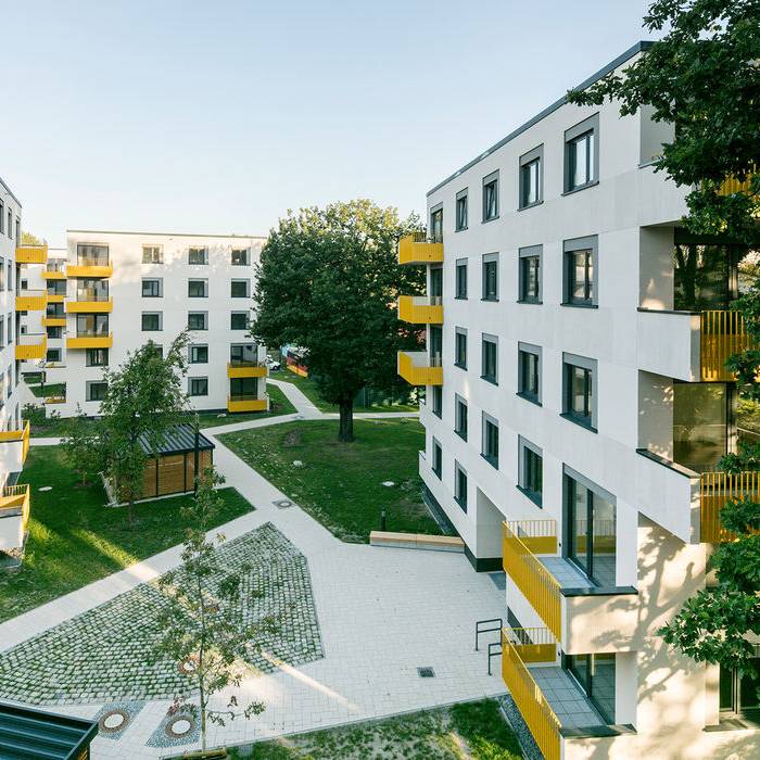 190923MUHS_33_15_700pixel