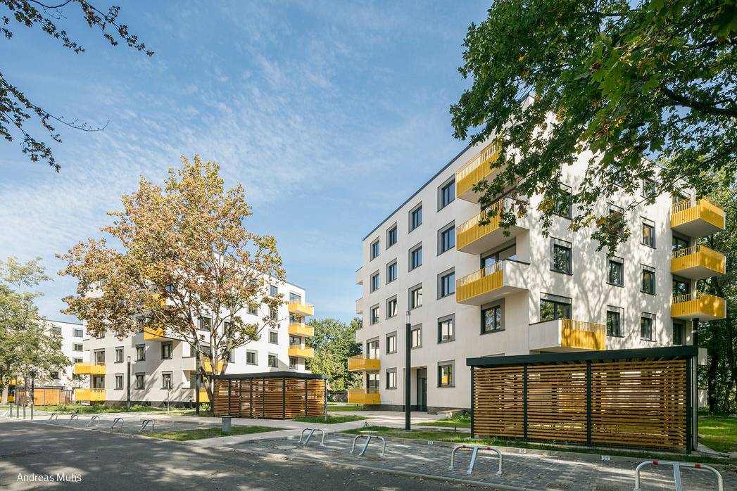 190923MUHS_94_15_700pixel