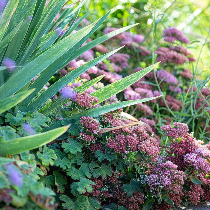 1B2A3028_10_700pixel