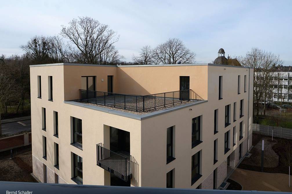 1DSCF6065_10_700pixel