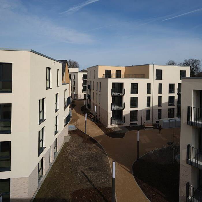 1DSCF6096_15_700pixel