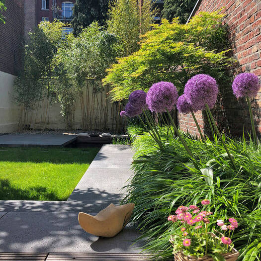 1_10_700pixelAjXvtR4EwWefC