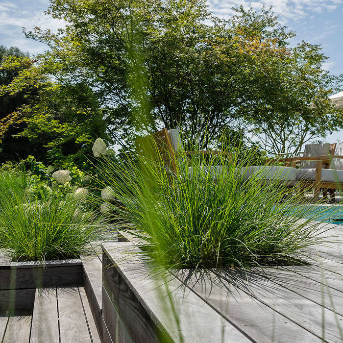 1_15_700pixelfZSy1wFRcfvvO