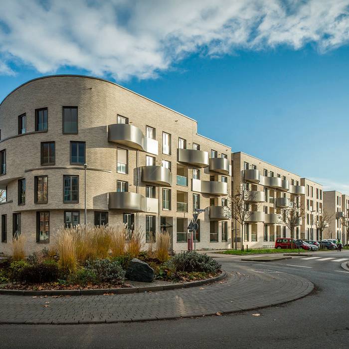 1-zederbaum-curve-2458_700pixel