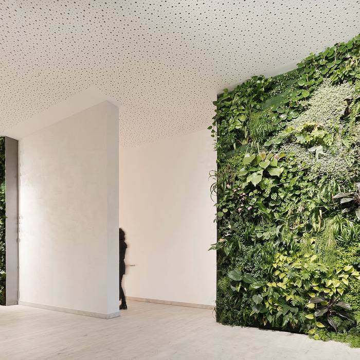 201112060_15_700pixel