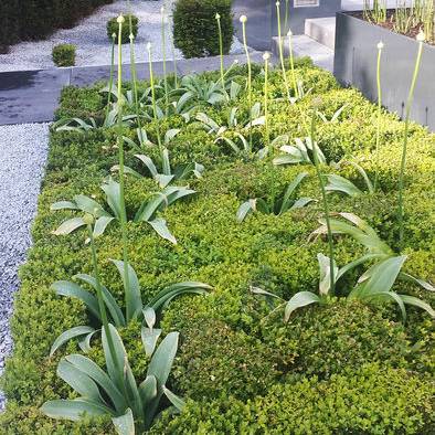 20140513_181615_10_700pixel