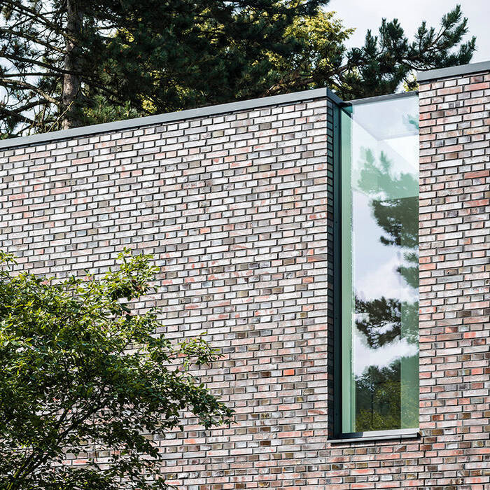 20180615-SP8_4261_10_700pixel