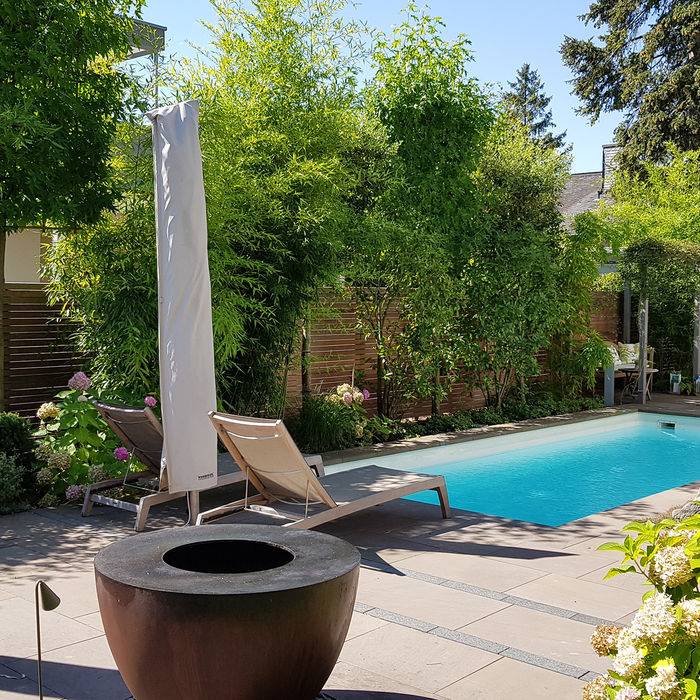 20180726_111211_19_700pixel