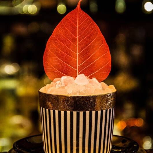 20191022-IMG_0474_10_700pixel