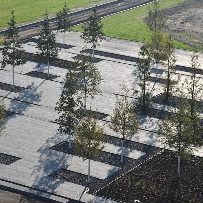 20191031Zechenpark-130-_10_700pixel