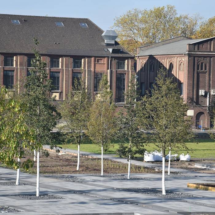 20191031Zechenpark-174-_15_700pixel