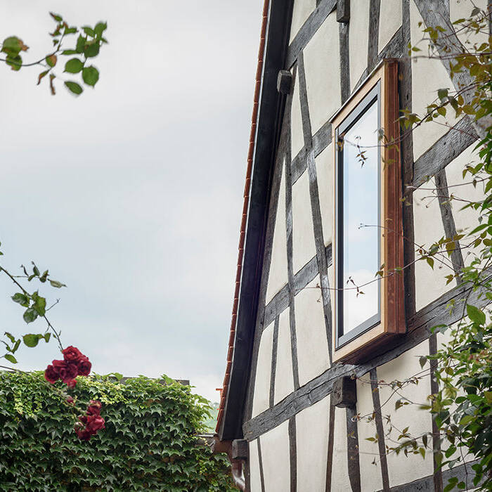 20200622_Scharrer_Koenigstein_0073_10_700pixel