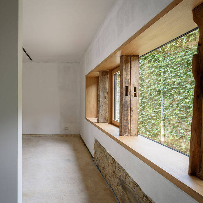 20200622_Scharrer_Koenigstein_0101_b_10_700pixel