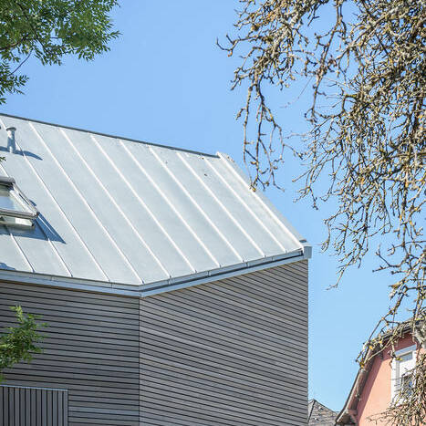 20200723_BGG_LM3A_0125_10_700pixel