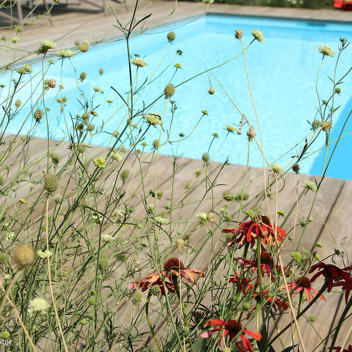 2022-07-20_107_Nitschke_142_15_700pixel