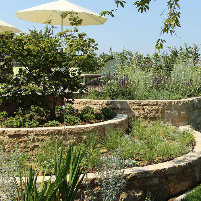 2022-07-20_107_Nitschke_168_15_700pixel