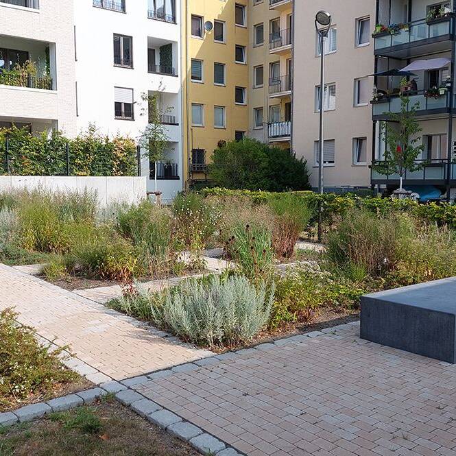 20220819_095407_10_700pixel