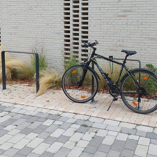 20220822_075846_bearb_10_700pixel