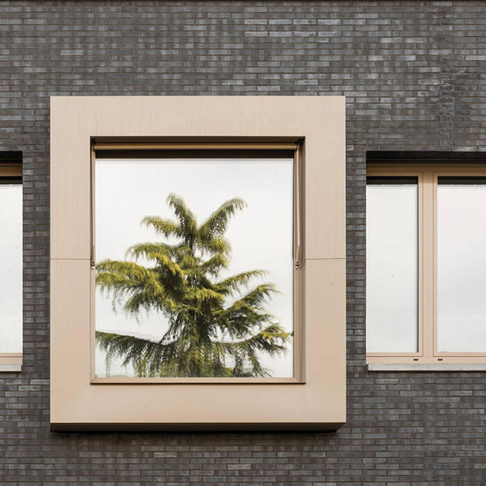 220422_1506_HvB_Linus-Reich_5770_10_700pixeljTtbkEMx5cY5C