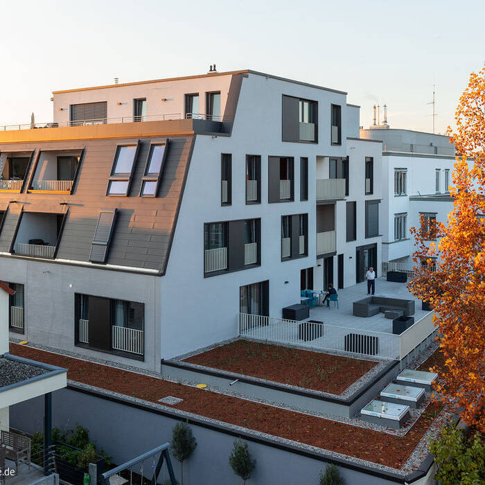 2709_Nellingen_MD_G300_0061_15_700pixel