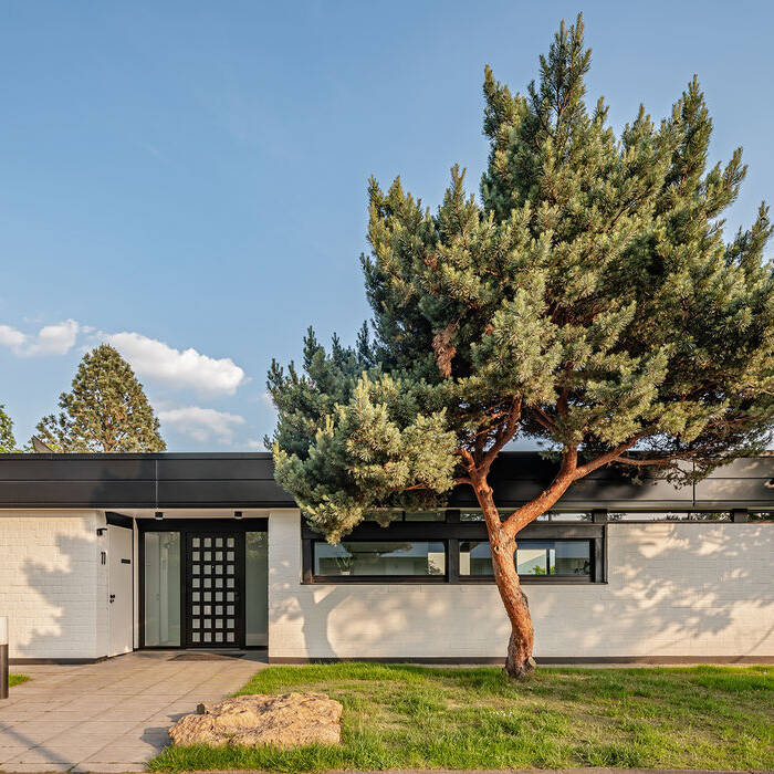 2_15_700pixelvzNdJQVPZg3F0