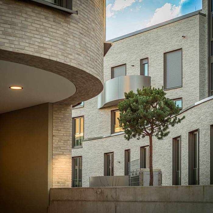 2-zederbaum-curve-2527_15_700pixel