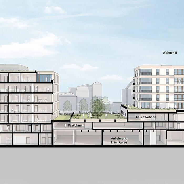 3d-schnitt_b_19_700pixel