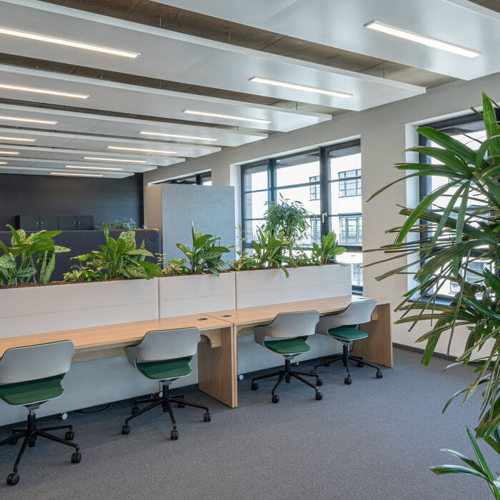 5_Renault_5-OG_020_15_700pixel