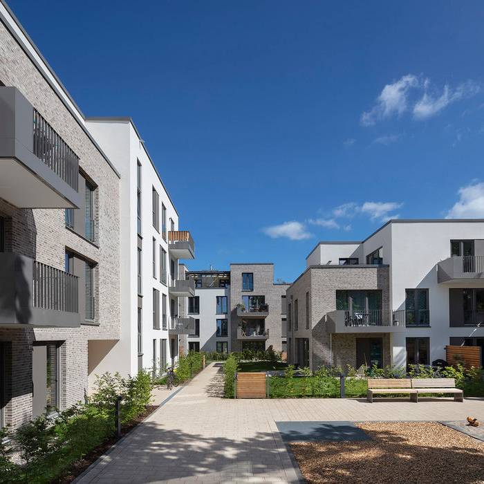 6050_Su-derfeld_2900_025_c_Daniel_Sumesgutner_15_700pixel