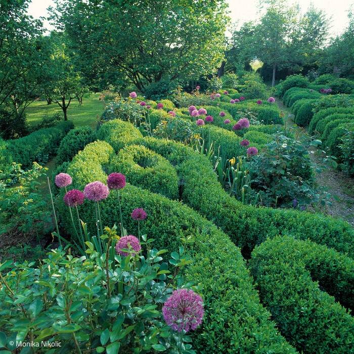 AMP_Bux_00-00_MN_300-C-Monika-Nikolic_15_700pixel