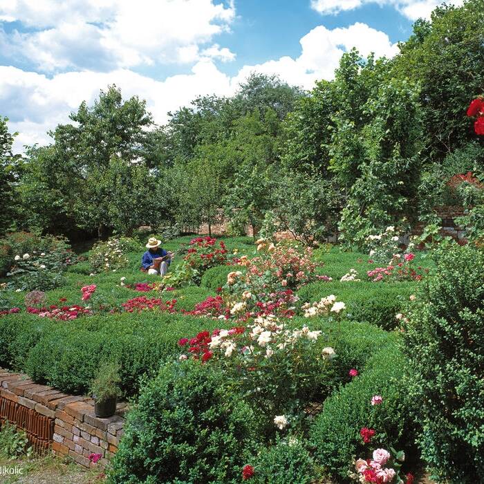 AMP_Garten_00-00_MN_300-C-Monika-Nikolic_15_700pixel