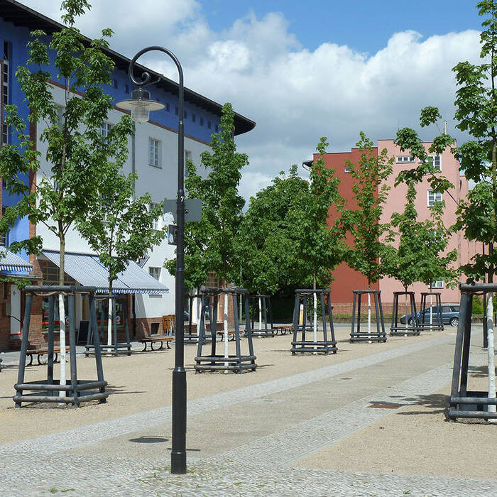 Abb_02_Hufeisenvorplatz_mit_neu_gepflanzten_Ba-umen_und_Mastleuchte_2013_10_700pixel