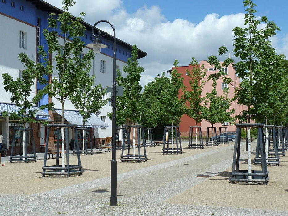 Abb_02_Hufeisenvorplatz_mit_neu_gepflanzten_Ba-umen_und_Mastleuchte_2013_10_700pixel