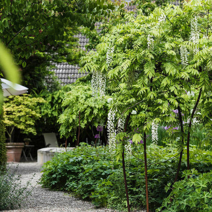 BGL_224_4032_15_700pixel