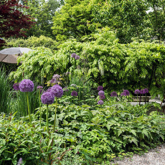 BGL_224_4048_15_700pixel