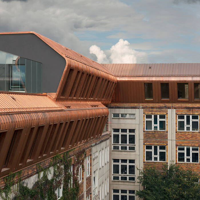 BMS_0456_15_700pixel